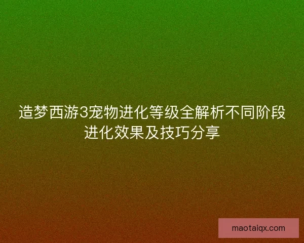 造梦西游3宠物进化等级全解析不同阶段进化效果及技巧分享