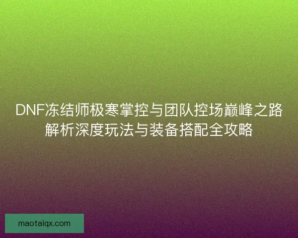 DNF冻结师极寒掌控与团队控场巅峰之路解析深度玩法与装备搭配全攻略