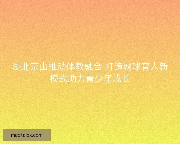 湖北京山推动体教融合 打造网球育人新模式助力青少年成长