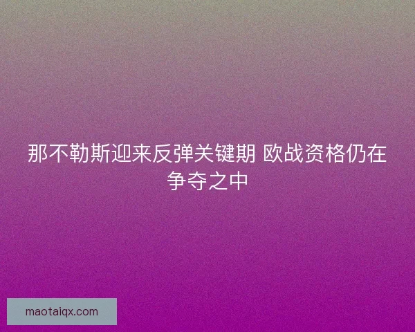 那不勒斯迎来反弹关键期 欧战资格仍在争夺之中