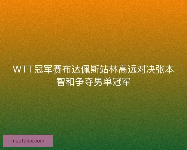WTT冠军赛布达佩斯站林高远对决张本智和争夺男单冠军