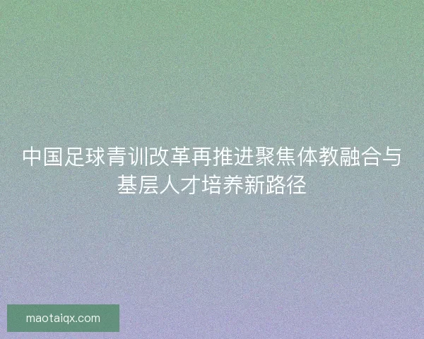 中国足球青训改革再推进聚焦体教融合与基层人才培养新路径