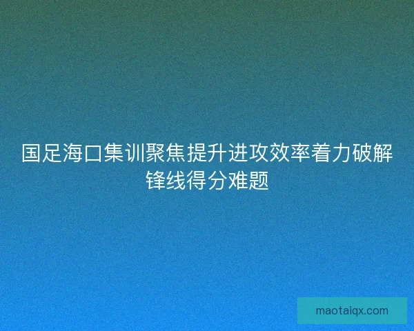 国足海口集训聚焦提升进攻效率着力破解锋线得分难题