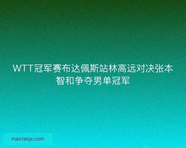 WTT冠军赛布达佩斯站林高远对决张本智和争夺男单冠军