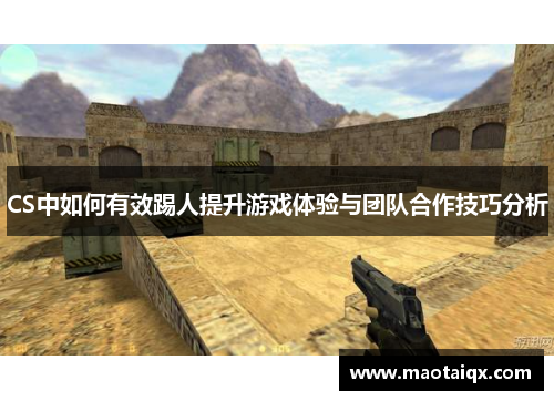 CS中如何有效踢人提升游戏体验与团队合作技巧分析
