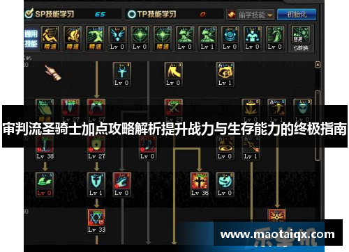 审判流圣骑士加点攻略解析提升战力与生存能力的终极指南